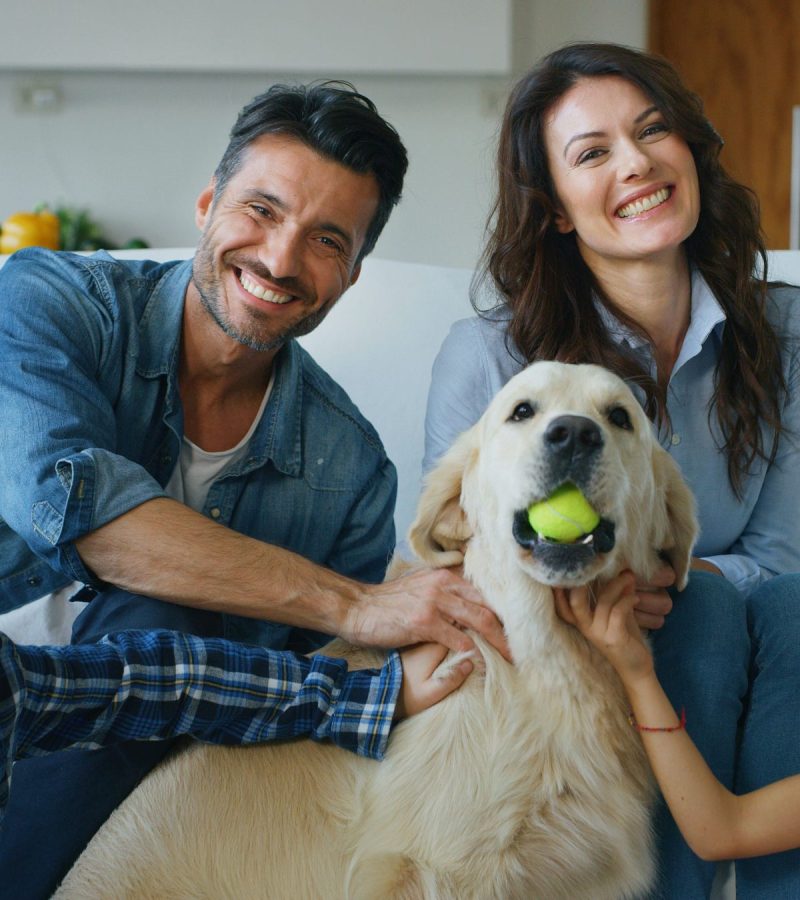 shutterstock_1255384108-12436